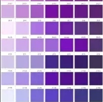 What Does Blue And Purple Make