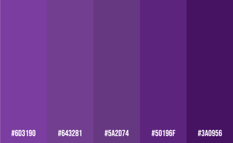 Colour Schemes With Purple