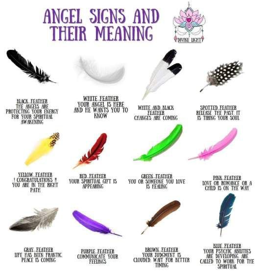 What Does a Feather Symbolize